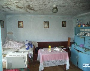 Maison 3 chambres à vendre dans Cluj-napoca
