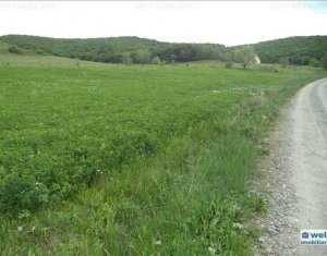 Terrain à vendre dans Cluj-napoca
