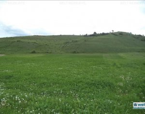 Terrain à vendre dans Cluj-napoca