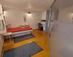Appartement 4 chambres à louer dans Cluj-napoca, zone Centru