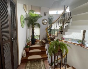 Maison 6 chambres à vendre dans Cluj-napoca, zone Andrei Muresanu