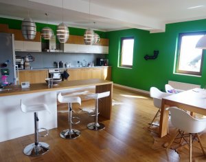 Maison 4 chambres à louer dans Cluj-napoca, zone Manastur