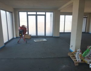 Maison 5 chambres à vendre dans Cluj-napoca, zone Manastur