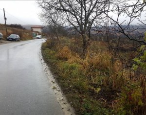 Terrain à vendre dans Cluj-napoca, zone Borhanci