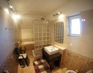 Ház 4 szobák kiadó on Cluj-napoca, Zóna Andrei Muresanu