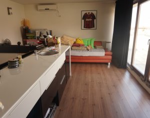 Maison 5 chambres à vendre dans Cluj-napoca, zone Andrei Muresanu