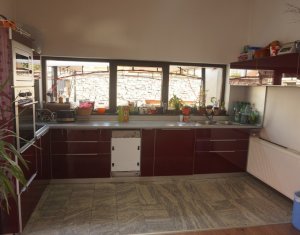 Maison 5 chambres à vendre dans Cluj-napoca, zone Andrei Muresanu