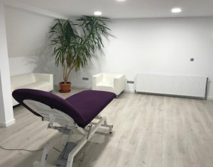 Maison 2 chambres à vendre dans Cluj-napoca, zone Centru