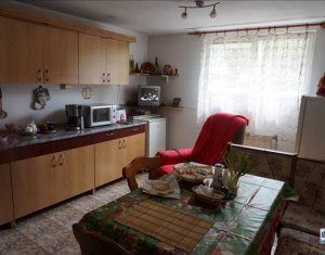 Ház 10 szobák eladó on Cluj-napoca, Zóna Andrei Muresanu