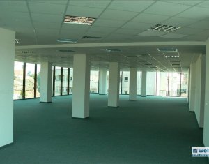 Bureau à louer dans Cluj-napoca, zone Centru