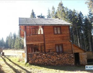 Maison 5 chambres à vendre dans Belis