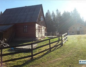Maison 5 chambres à vendre dans Belis