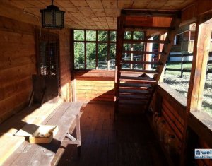 Maison 5 chambres à vendre dans Belis
