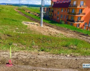 , 9619m2 dans Cluj-napoca