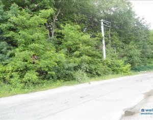Terrain à vendre dans Cluj-napoca, zone Faget