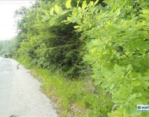 Terrain à vendre dans Cluj-napoca, zone Faget