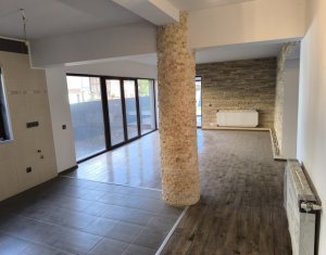 Casa individuala, 246 mp + 40 mp spatiu comercial, piscina interioara, Someseni