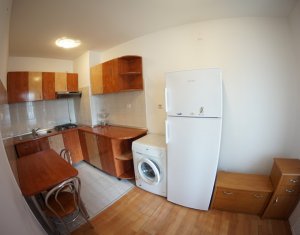 Appartement 1 chambres à louer dans Cluj-napoca, zone Zorilor