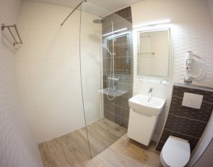 Appartement 3 chambres à louer dans Cluj-napoca, zone Andrei Muresanu