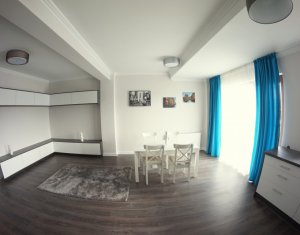 Appartement 2 chambres à louer dans Cluj-napoca, zone Europa