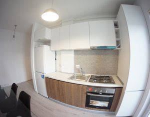 Appartement 1 chambres à louer dans Cluj-napoca, zone Europa