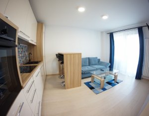 Appartement 2 chambres à louer dans Cluj-napoca, zone Gheorgheni