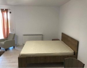 Appartement 1 chambres à louer dans Cluj-napoca, zone Andrei Muresanu