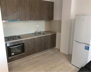 Appartement 1 chambres à louer dans Cluj-napoca, zone Andrei Muresanu