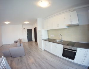 Appartement 2 chambres à louer dans Cluj-napoca, zone Europa