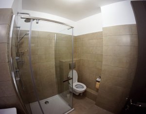 Appartement 2 chambres à louer dans Cluj-napoca, zone Gheorgheni