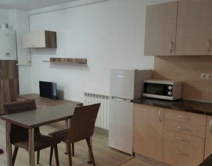 Appartement 1 chambres à louer dans Cluj-napoca, zone Andrei Muresanu