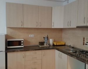 Appartement 1 chambres à louer dans Cluj-napoca, zone Andrei Muresanu