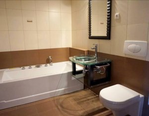 Appartement 2 chambres à louer dans Cluj-napoca, zone Plopilor
