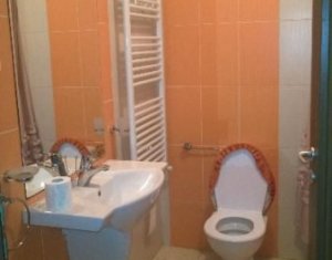 Appartement 1 chambres à louer dans Cluj-napoca
