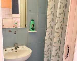 Appartement 1 chambres à louer dans Cluj-napoca