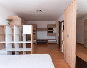 Appartement 1 chambres à louer dans Cluj-napoca, zone Dambul Rotund