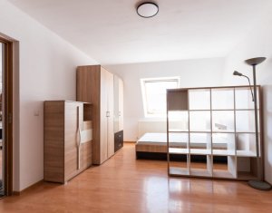 Appartement 1 chambres à louer dans Cluj-napoca, zone Dambul Rotund