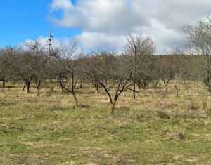 TEREN 4.750 MP – OPORTUNITATE DE INVESTITIE IN DAMBUL ROTUND