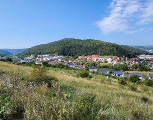 Terrain à vendre dans Floresti