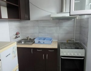 Appartement 1 chambres à louer dans Cluj-napoca, zone Marasti