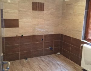 Maison 5 chambres à vendre dans Sannicoara