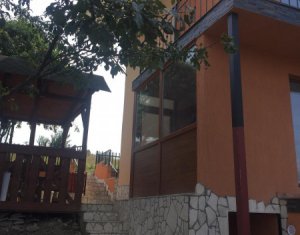 Maison 5 chambres à vendre dans Sannicoara