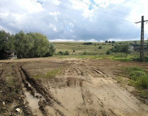, 20000m2 on Suceagu