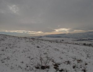 , 2985m2 dans Cluj-napoca, zone Borhanci