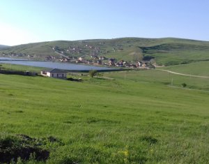 , 2500m2 dans Cluj-napoca