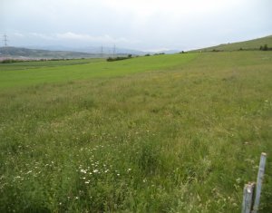 Terrain à vendre dans Cluj-napoca