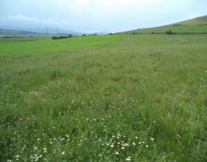 Terrain à vendre dans Cluj-napoca