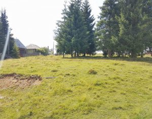 Terrain à vendre dans Belis