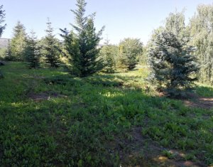 Terrain à vendre dans Cluj-napoca, zone Becas