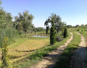 Terrain à vendre dans Cluj-napoca, zone Becas